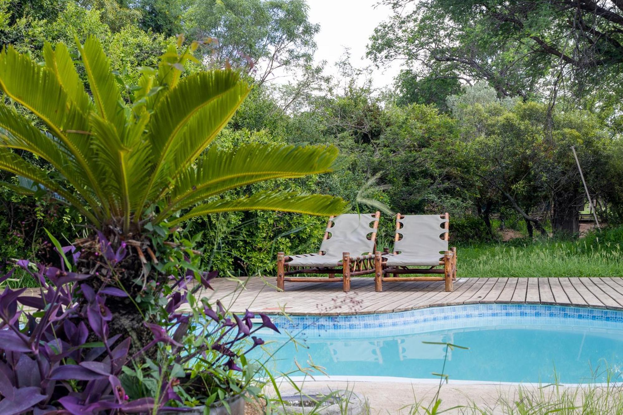 Tangala Safari Camp Villa ธอร์นีบุชเกมรีเซิร์ฟ ภายนอก รูปภาพ